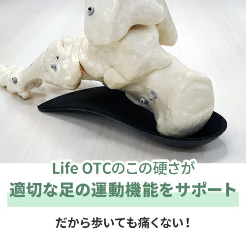 楽天市場】NWPL社 ファンクションオーソティクス インソール Life OTC