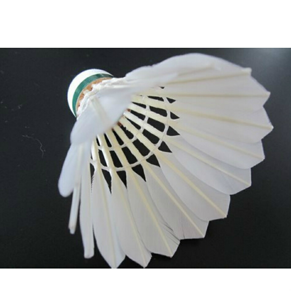 楽天市場】【エントリーでP10倍＆クーポン配布2/19日20時〜23日01:59