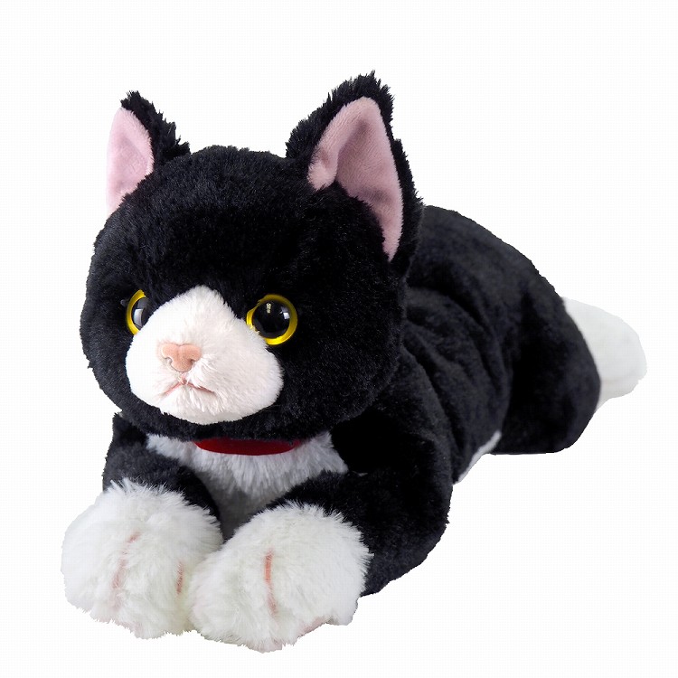 楽天市場】ひざねこ ぬいぐるみM ハチワレ 046225 : キャラクターズ