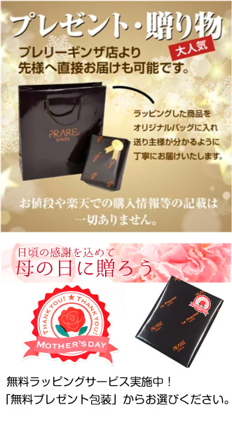 楽天市場】GOLD PFEIL 「ゴールドファイル」 【バーガンディ