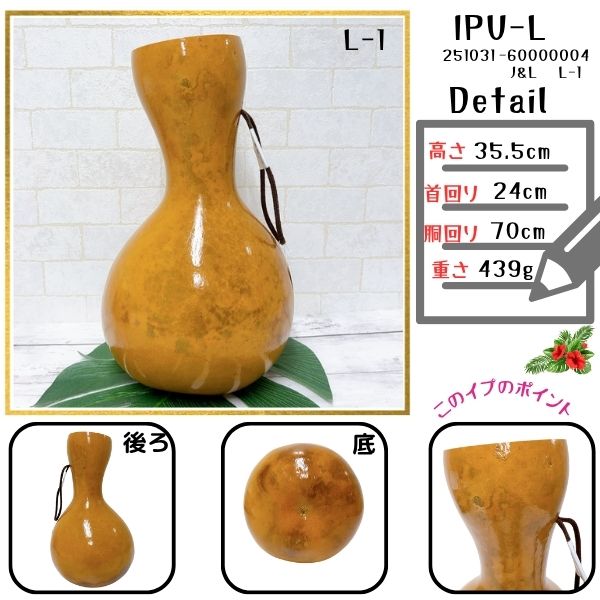 楽天市場】イプ Lサイズ フラ フラダンス 楽器 ハワイ ハワイアン