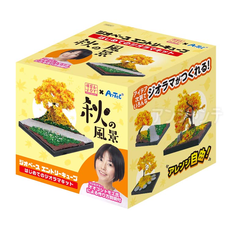 楽天市場】ジオベースエントリーキューブ 秋の風景 1セット入 / 草