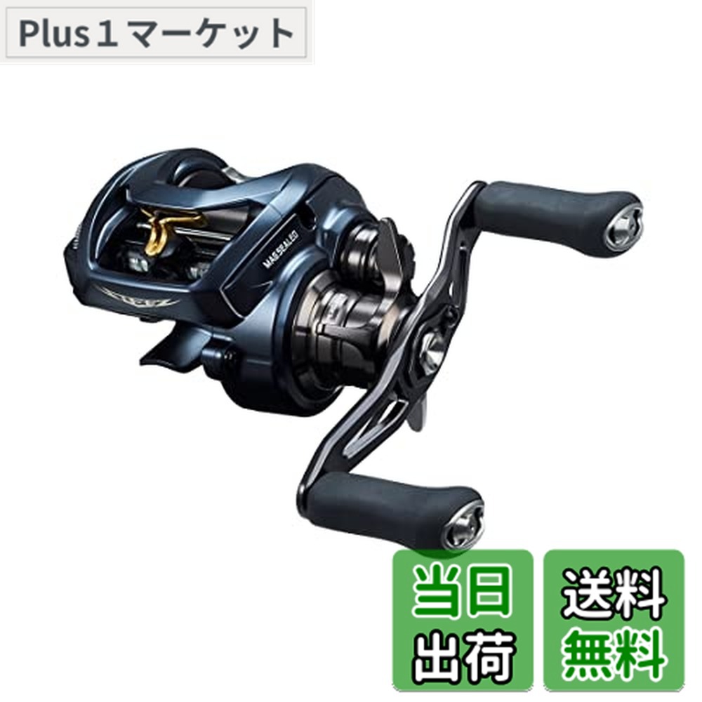 ダイワ スティーズ A II TW 1000XHL (リール) 価格比較 - 価格.com