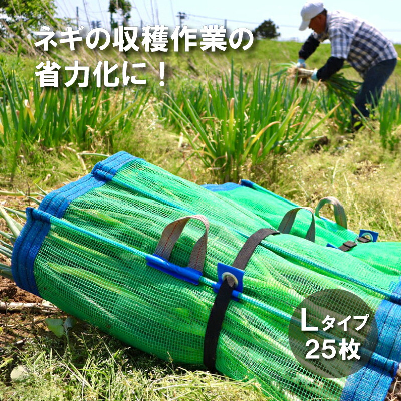 楽天市場】ネギ巻きネットの通販