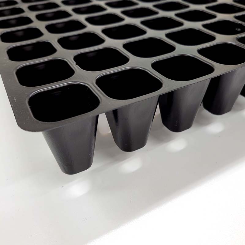 楽天市場】【100%ポイントバック エントリー＆抽選2/25まで】100枚