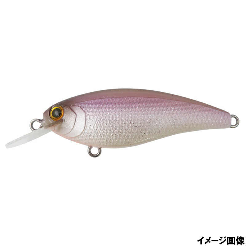 楽天市場】リズィーアピールプラスの通販