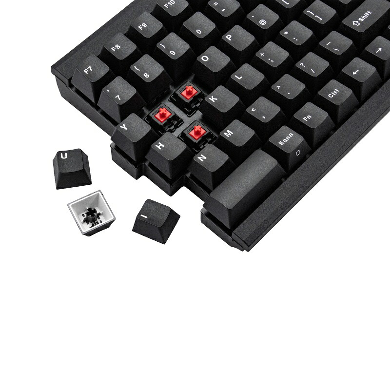 楽天市場】Mistel MD770 JIS 有線 キーボード 日本語 JIS配列 茶軸 青