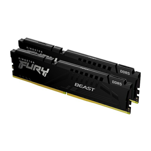 パソコン Kingston Fury 32GB DDR5」の人気商品一覧 | 安い商品を通販