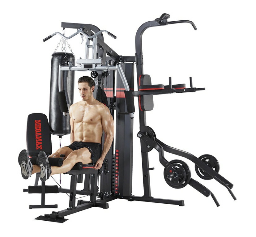 楽天市場】マルチホームジム マルチジム 3ステーション 家庭用 大型