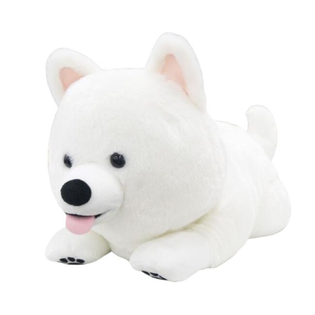 楽天市場】サモエドの子犬ぬいぐるみXL プレミアム : ホビーショップ