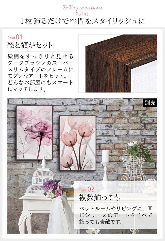 楽天市場】x-ray アートフレーム キャンバスアート 花 アートパネル