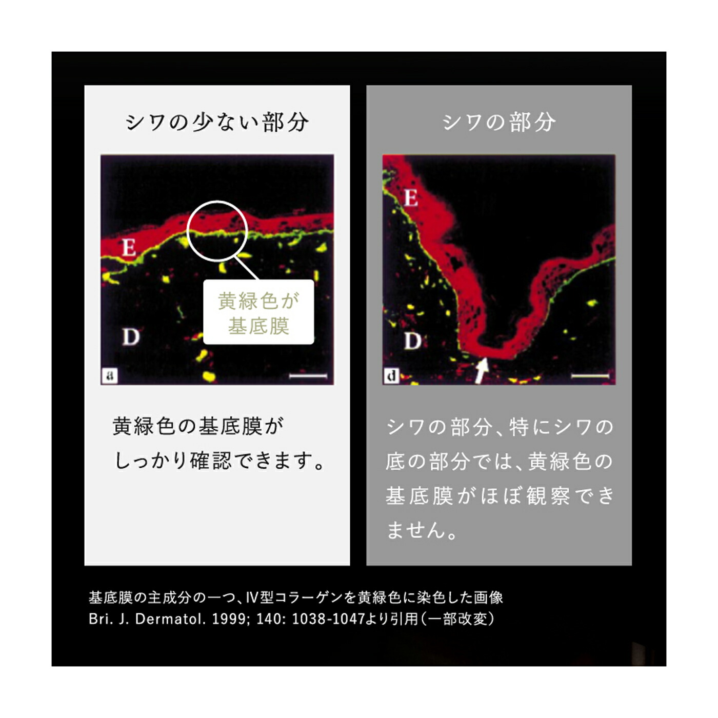 楽天市場】【公式店】ライース リンクルクロス 20g 【医薬部外品