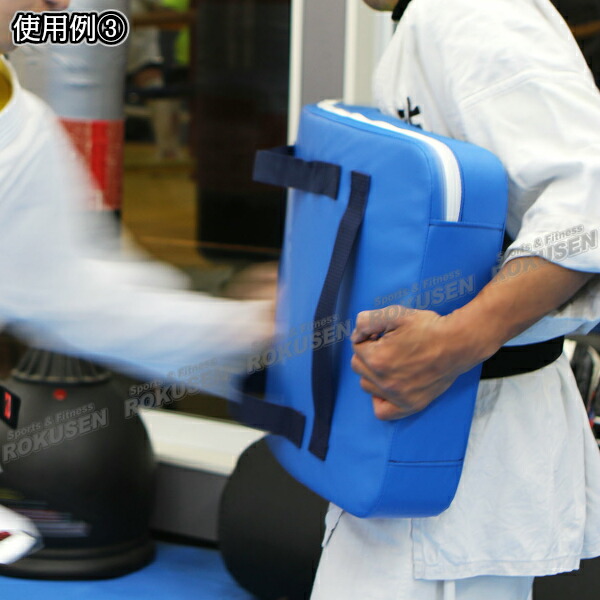 楽天市場】【ISAMI・イサミ】ビッグミット マリンブルーミットLL SD