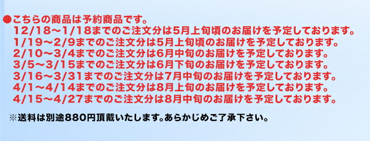 楽天市場】夫が寝たあとに オリジナル 瞬履きスニーカー : テレ朝通販