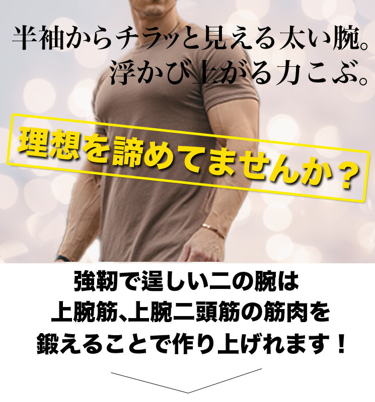 楽天市場】ファイティングロード カールベンチ TRUST アームカール