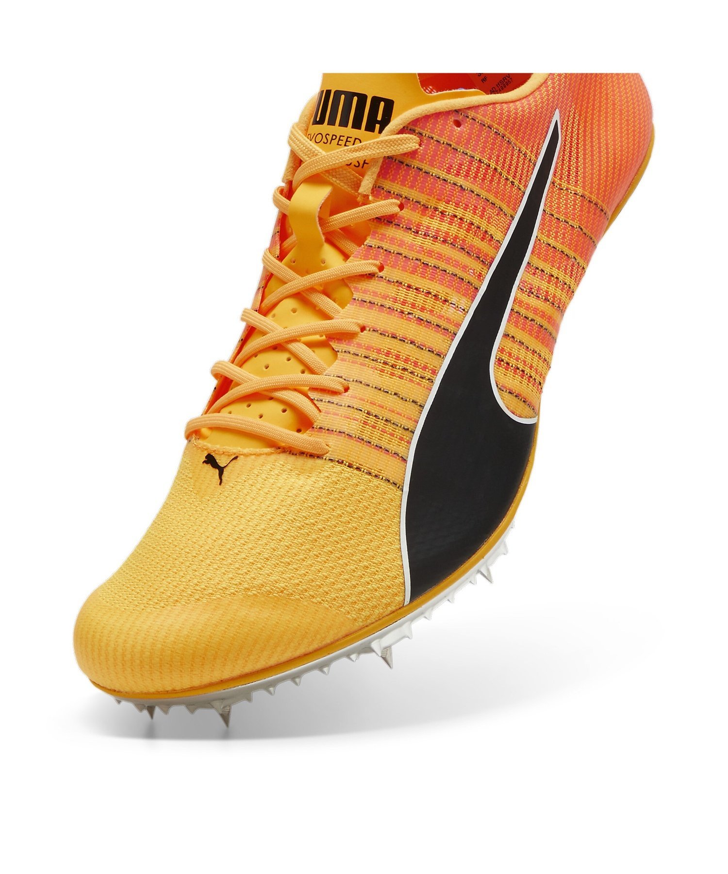 PUMA｜メンズ エヴォスピード ブラッシュ 6 陸上用 スパイク evoSPEED