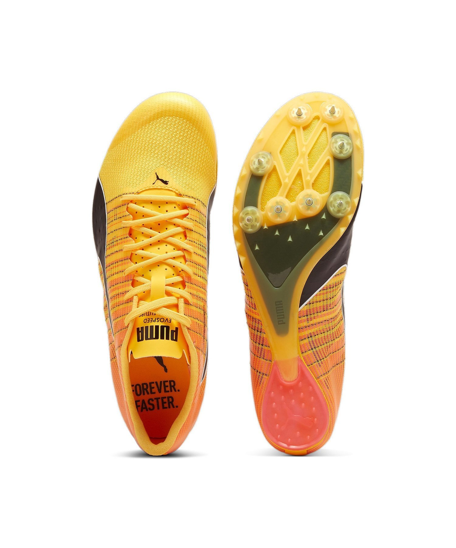 PUMA｜メンズ エヴォスピード フューチャー 6 陸上用 スパイク