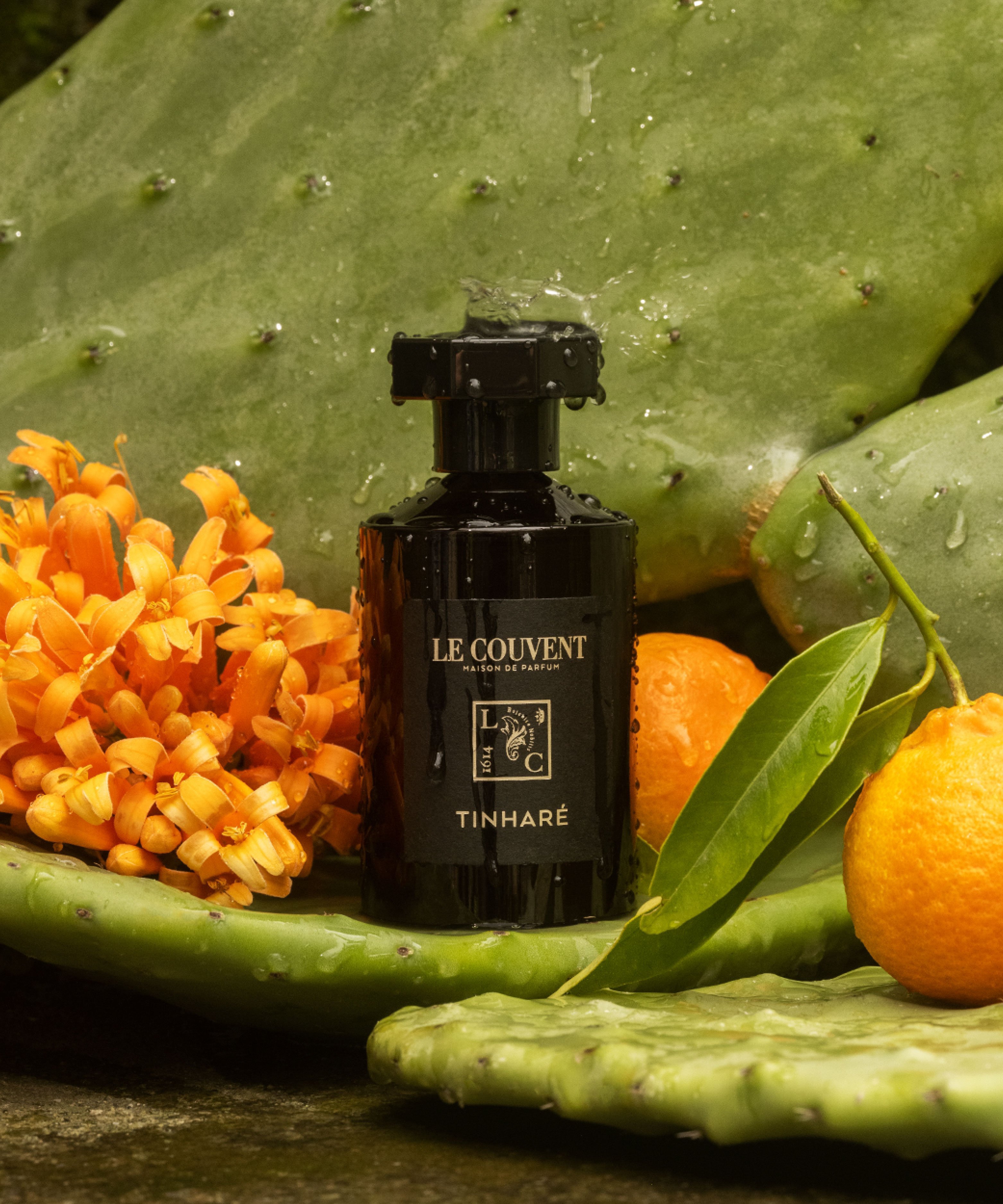 LE COUVENT MAISON DE PARFUM｜リマーカブル パルファム ティナーレ