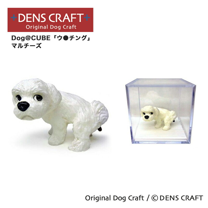 楽天市場】【DENSCRAFT】 Dog@CUBE 「ウ○チング」 マルチーズ 犬
