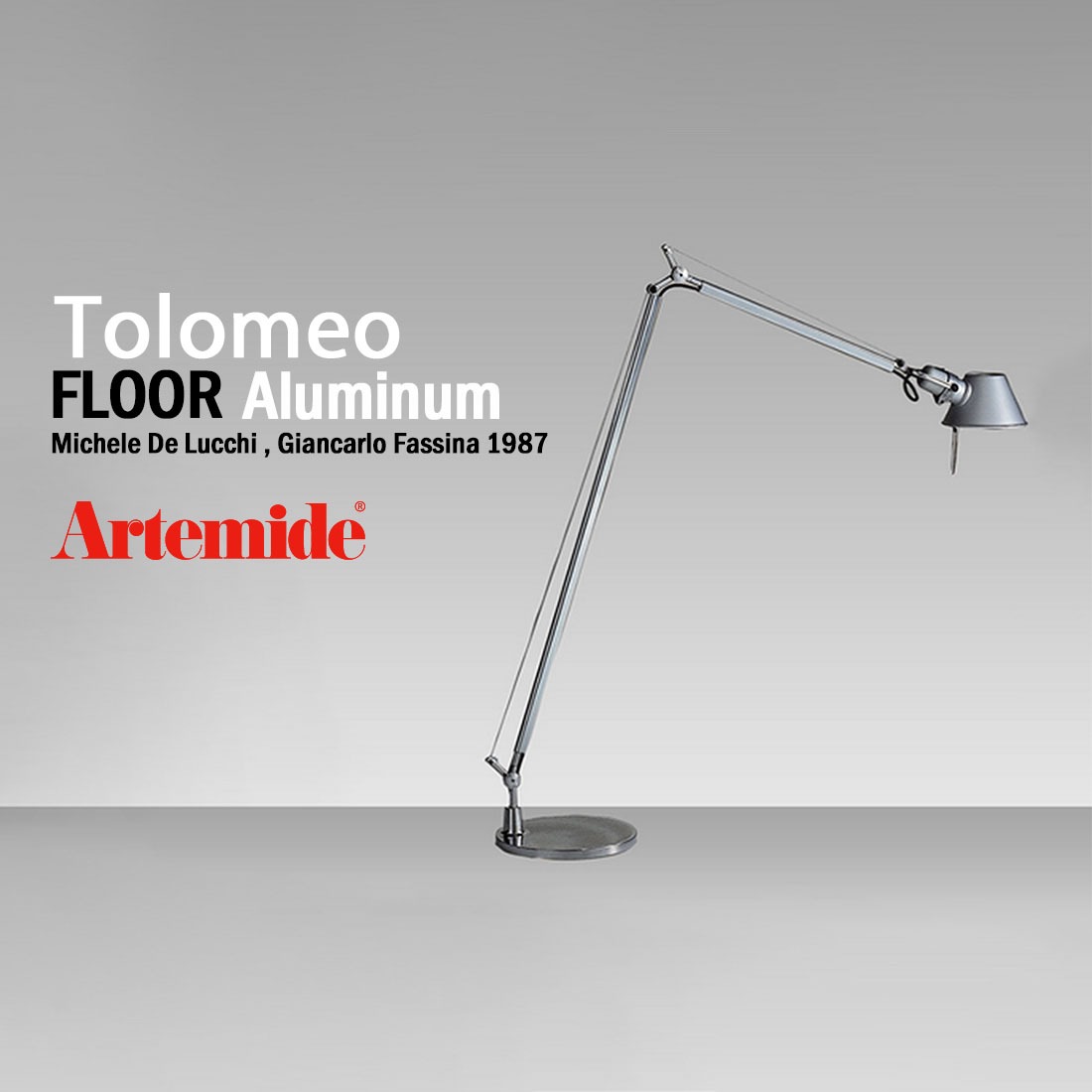 楽天市場】Artemide アルテミデ TOLOMEO Reading FLOOR Aluminium