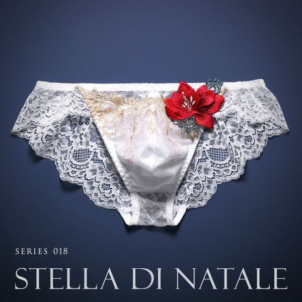 楽天市場】【メール便(5)】【送料無料】 HIMICO 煌びやかな幸福に満ち