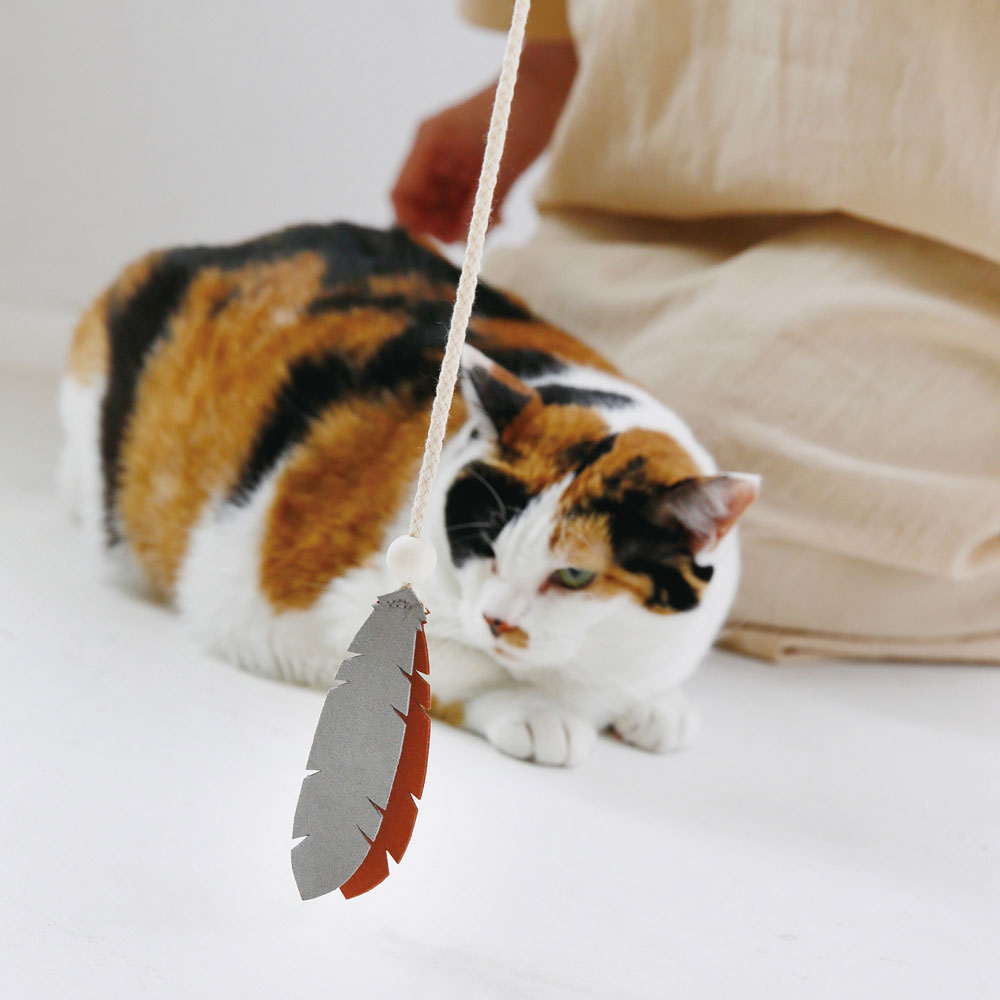 楽天市場】公式 shesay ねこじゃらし CATキャッチャー ヴィーガン