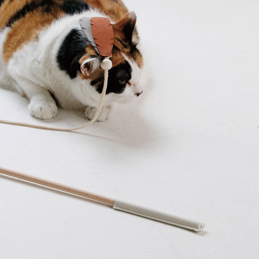 楽天市場】公式 shesay ねこじゃらし CATキャッチャー ヴィーガン