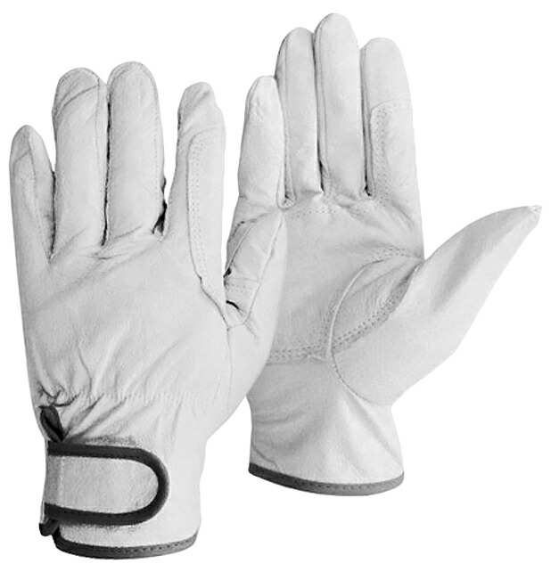 楽天市場】ユニワールド 1335-3P 豚クレスト当付 3双組 【1袋・お得な5