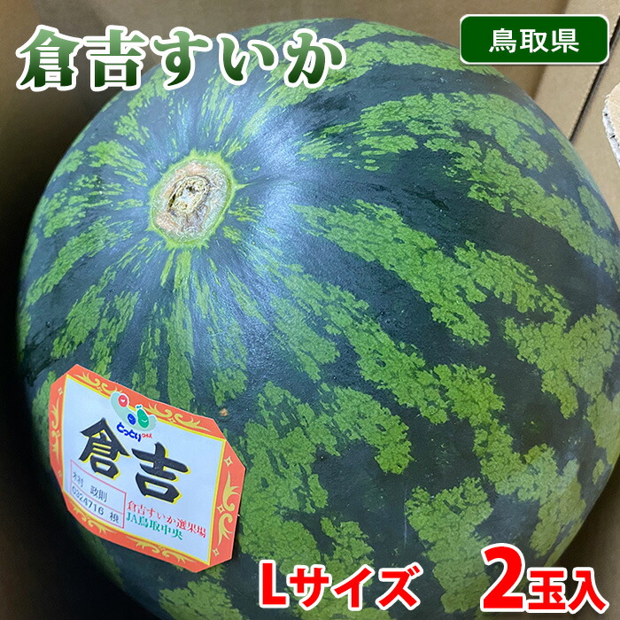 楽天市場】鳥取県産 倉吉すいか 鳥取西瓜 秀品 M〜4Lサイズ 2玉入り