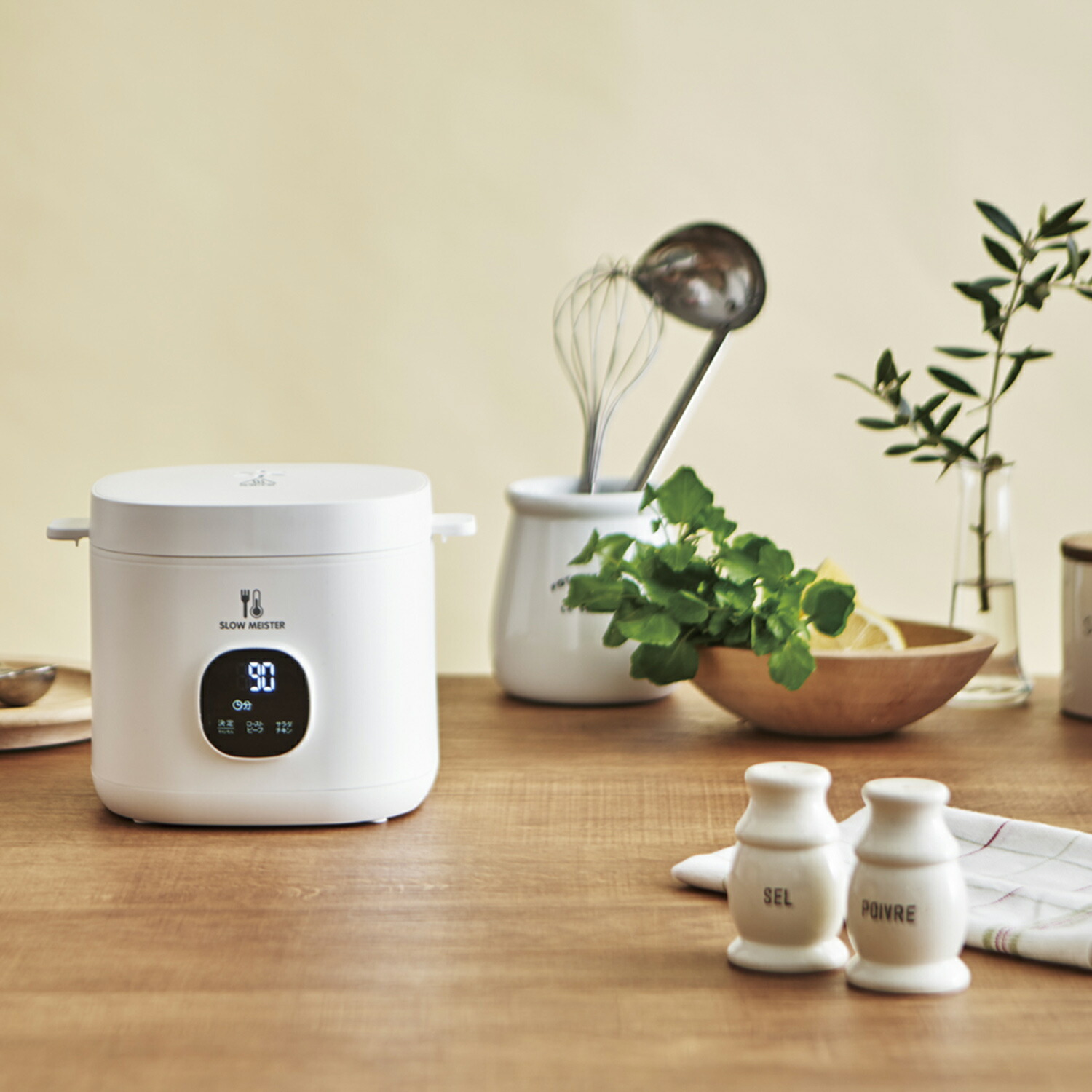 楽天市場】アピックスインターナショナル APIX INTL 低温調理器 低温