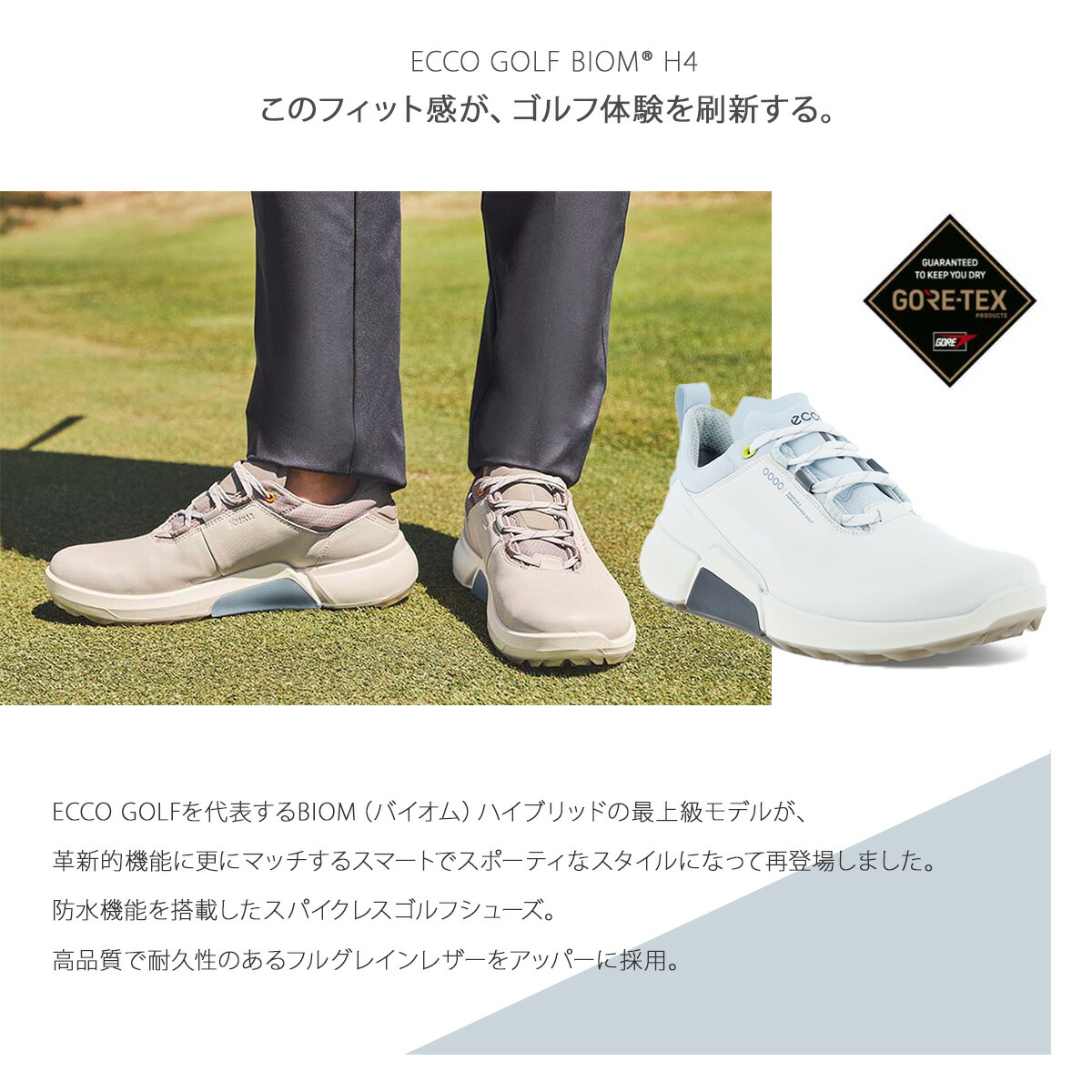 楽天市場】エコー ゴルフ シューズ バイオム エイチ フォー スパイク