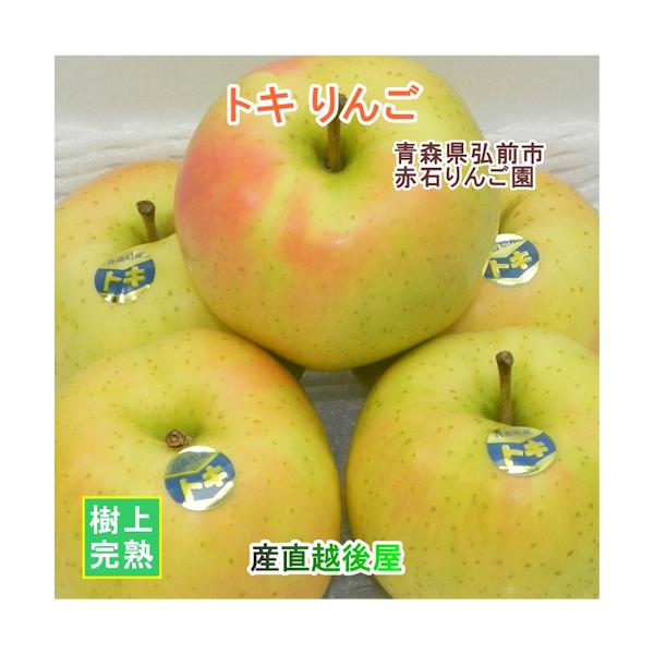 楽天市場】青森県弘前市 赤石りんご園 青森りんご トキ 5kg（14玉〜22