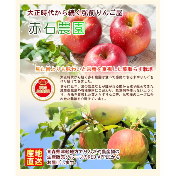 楽天市場】青森県弘前市 赤石りんご園 青森りんご トキ 5kg（14玉〜22
