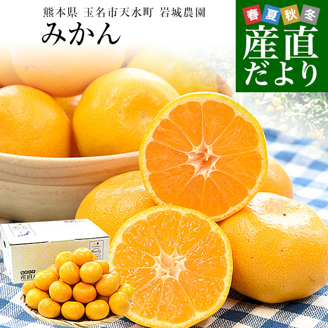 楽天市場】熊本県から産地直送 玉名市天水町 岩城農園 みかん LからS