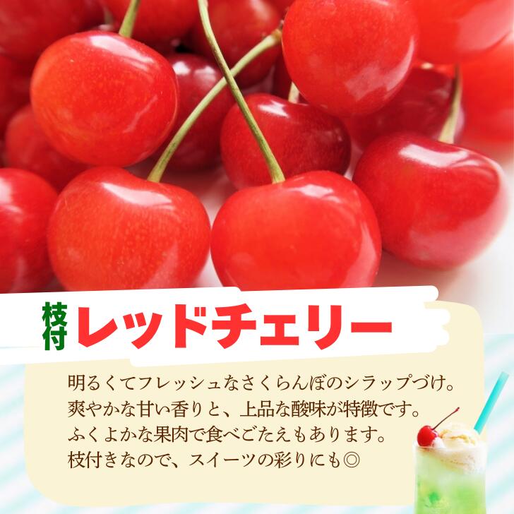 楽天市場】SH レッドチェリーM（枝付）425g缶詰 4号缶 サクランボ