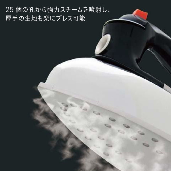 楽天市場】アイロン スチーム&ドライアイロン コード付 THE ACADEMIC