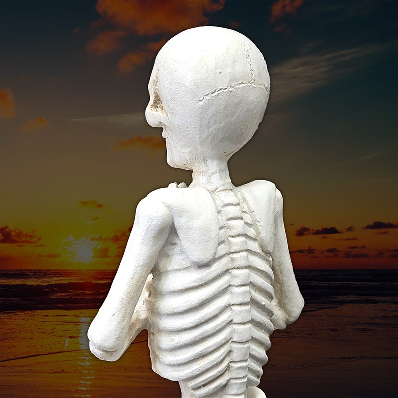 楽天市場】ガイコツ 置物 ドクロ 置物 スカル オブジェ お祈りポーズ