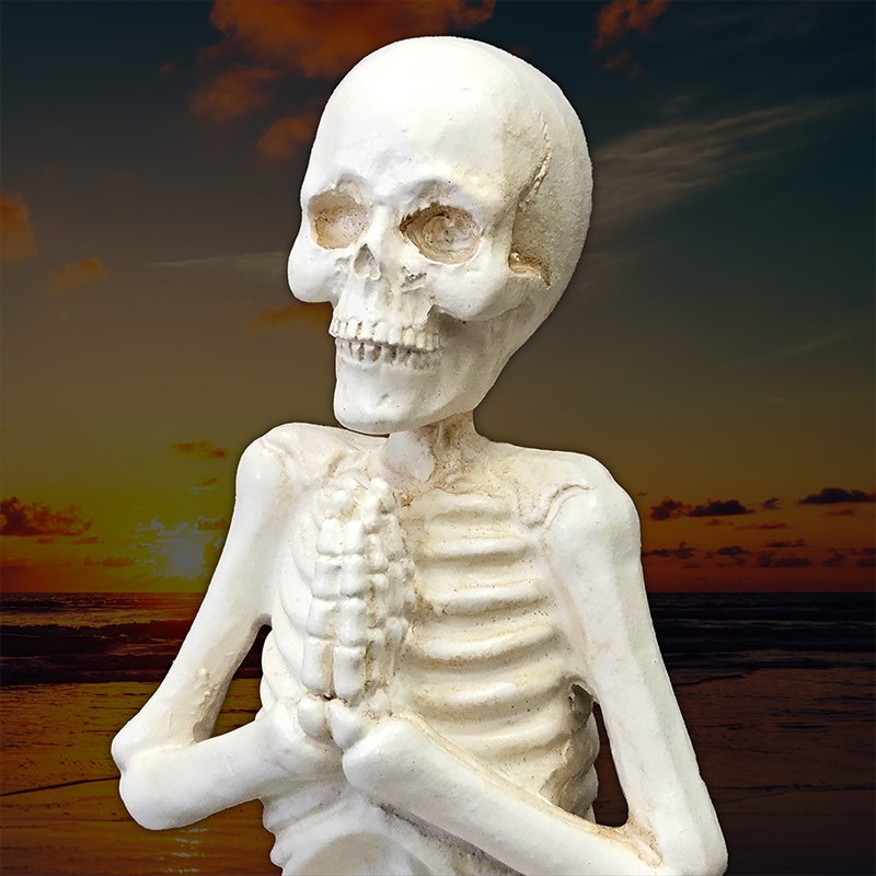 楽天市場】ガイコツ 置物 ドクロ 置物 スカル オブジェ お祈りポーズ