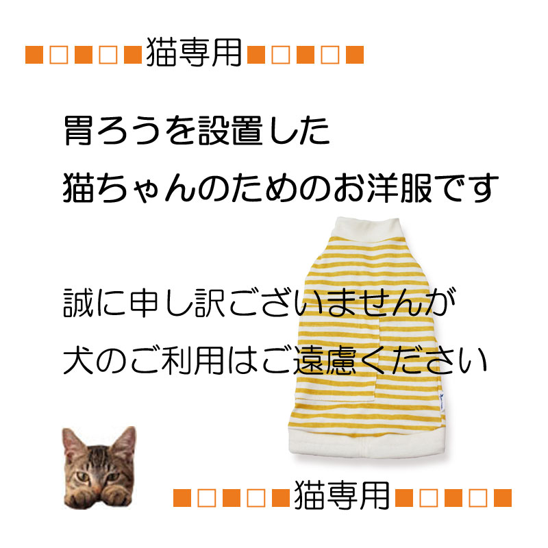 楽天市場】【土日祝日発送】 猫専用 胃ろうチューブ用衣類ボーダー