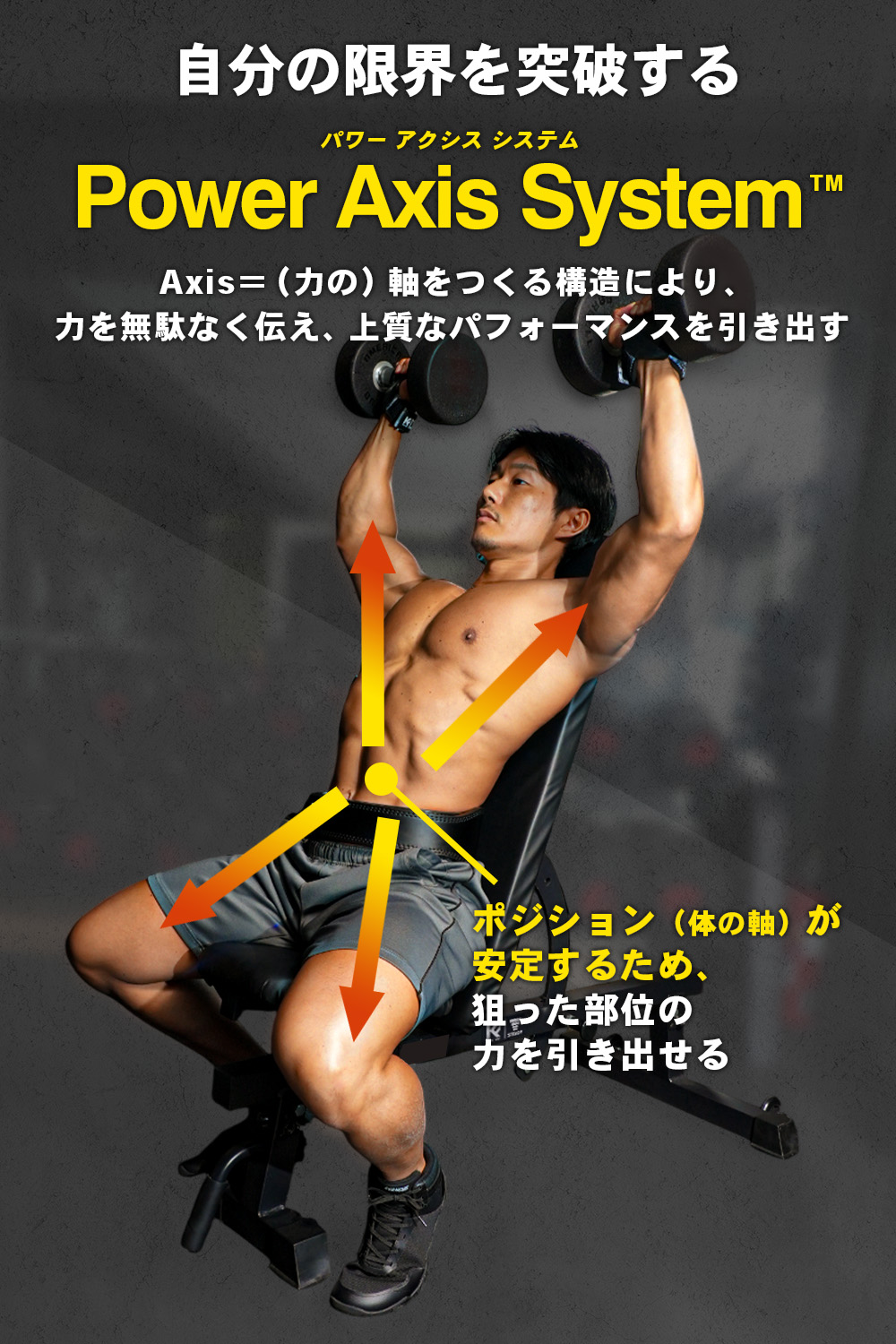 楽天市場】【久野圭一コラボ】クロスベンチ トレーニングベンチ [1年