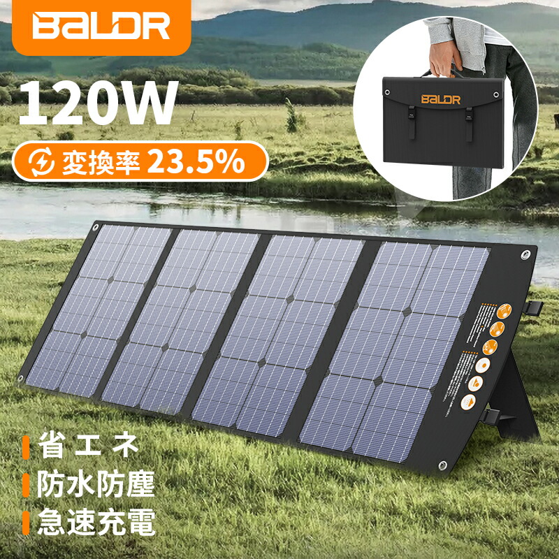 楽天市場】【☆決算セール 先着10名様限定☆特別価格15,800円】BALDR