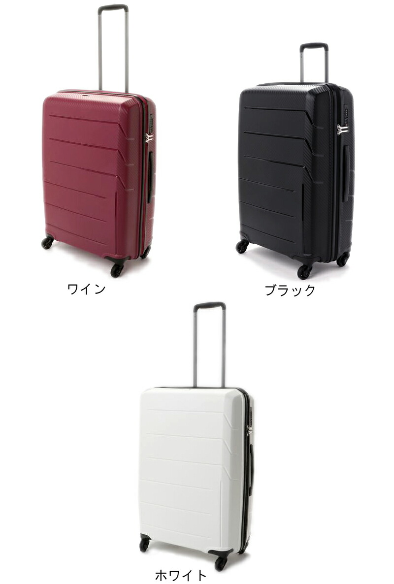 楽天市場】【10日以上の旅に】エース(ACE) ゼット・エヌ・ワイ(Z.N.Y