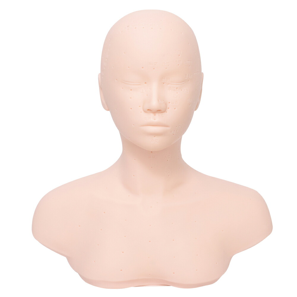 楽天市場】マネキン 練習 マネキンヘッド 頭 練習用 ヘッド マッサージ