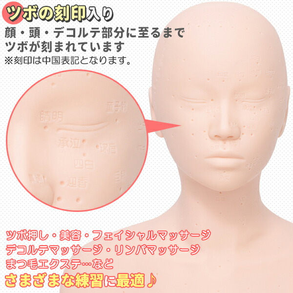 楽天市場】マネキン 練習 マネキンヘッド 頭 練習用 ヘッド マッサージ