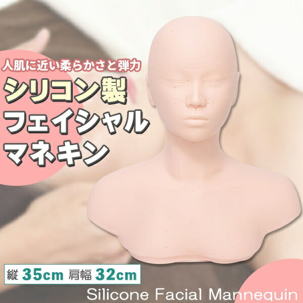 楽天市場】マネキン 練習 マネキンヘッド 頭 練習用 ヘッド マッサージ