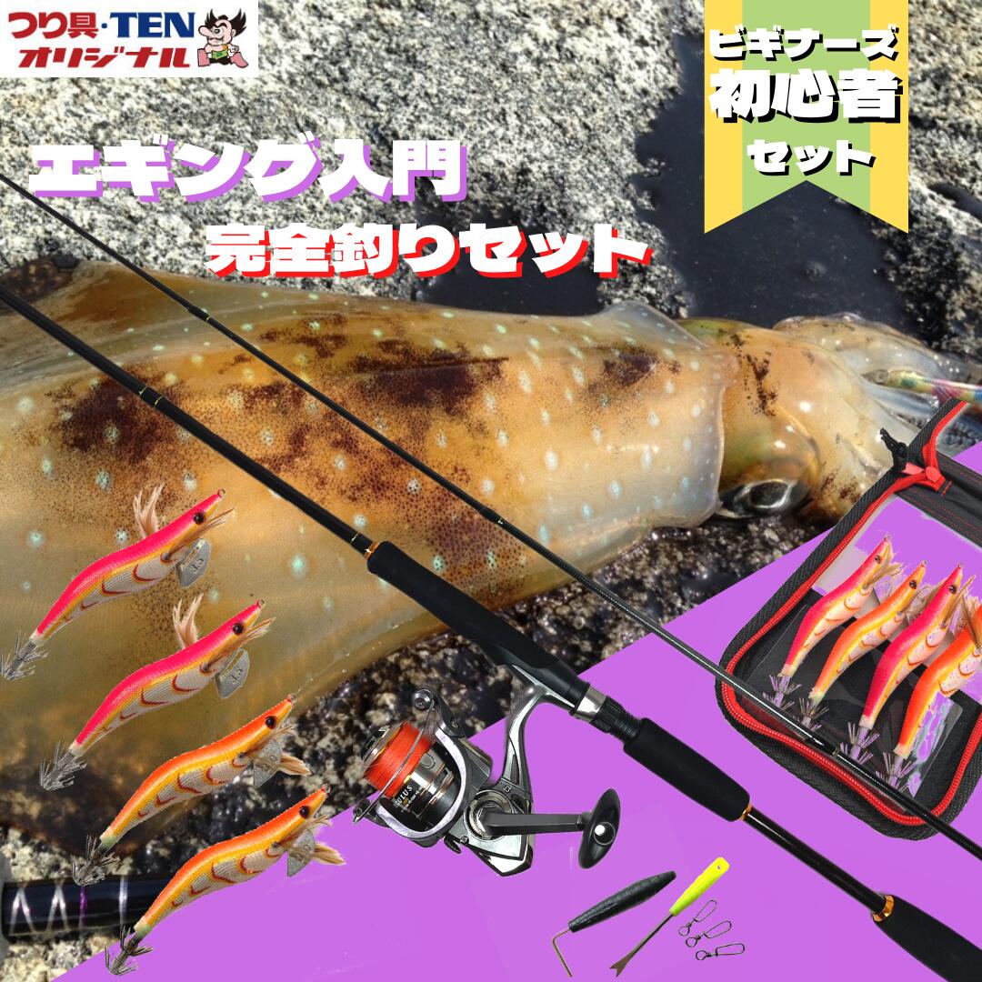 楽天市場】アオリイカ エギング入門 完全釣りセット PEライン糸巻き