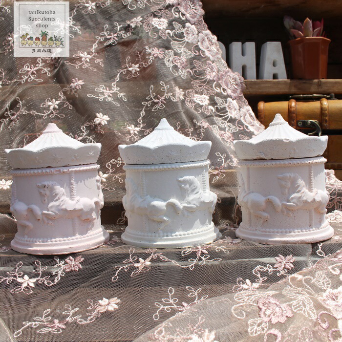 楽天市場】メリーゴーランド鉢 陶器鉢 多肉永遠鉢 : 株式会社多肉永遠