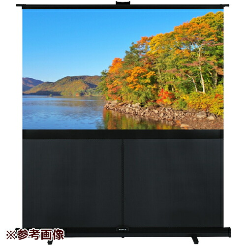 楽天市場】キクチ スクリーン kps－st60の通販