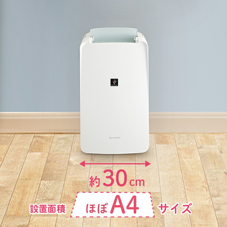 楽天市場】[3/1限定 抽選で最大100%ポイントバック＆最大2000円OFF