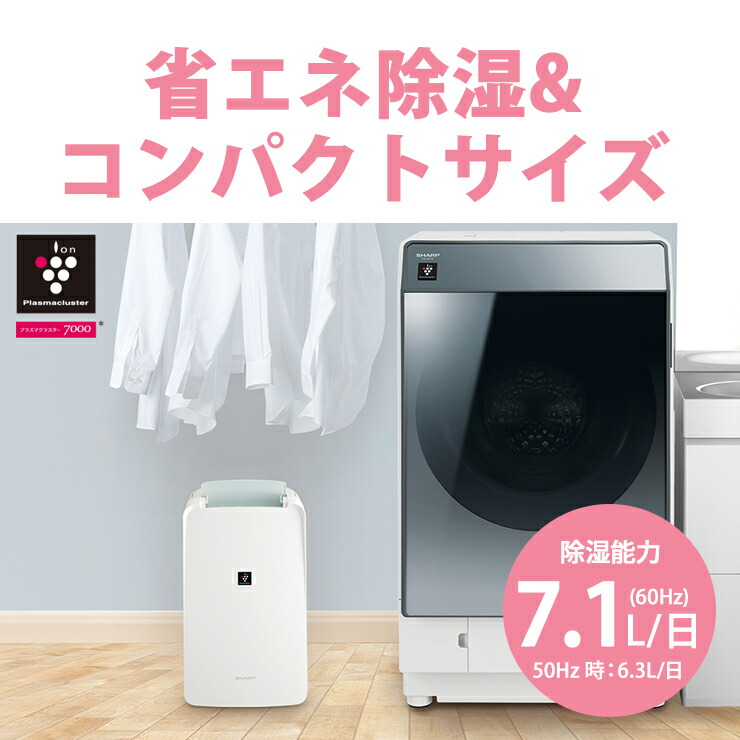 楽天市場】[3/1限定 抽選で最大100%ポイントバック＆最大2000円OFF